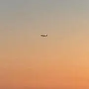 もみじの画像