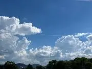 夏月の画像