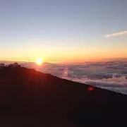 NEOの画像