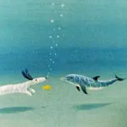 アジュワの画像