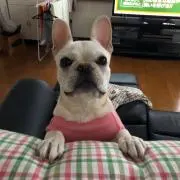 ゆっこの画像