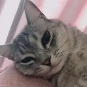 ぴーママ