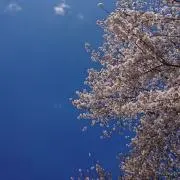 ざくざくの画像