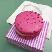 サヌーの画像