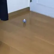 ウル