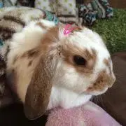 ゆかち