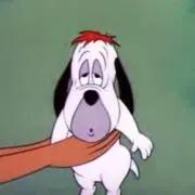 みかんの画像