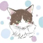 もってぃ