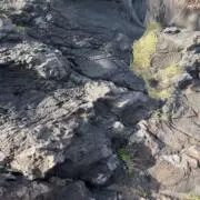 つな