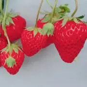 emichiの画像