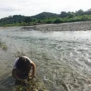 ミー