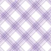 羽瑠香の画像