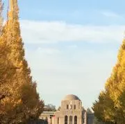 ANAの画像