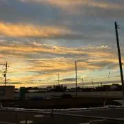 鈴の画像