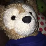 ぶーん小僧の画像