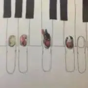 シマの画像