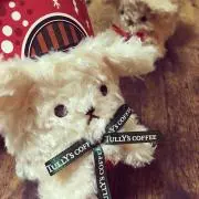 もっちっち