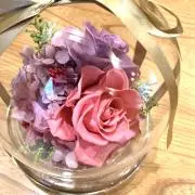 豆腐好き