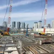 ハクの画像