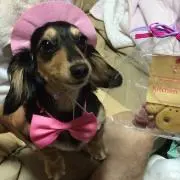 ろんもも