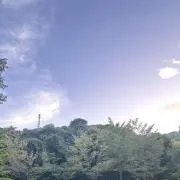 らいの画像
