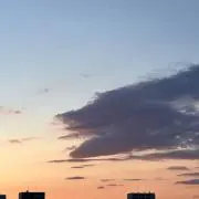 汀の画像