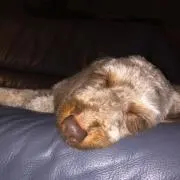 ふみなお