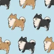 みの画像