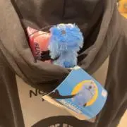あめの画像