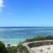 悠