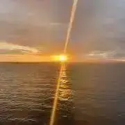 チュパカブラの画像
