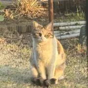 まるきちの画像
