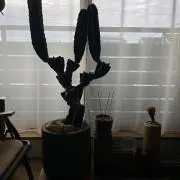 m09.の画像