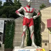 てんとうむしの画像