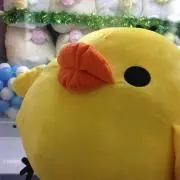 まあかの画像