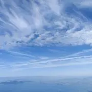 ymaの画像