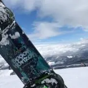 えびの画像