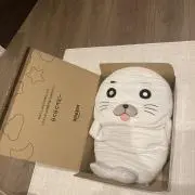 ごまちゃすの画像