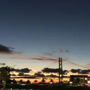 Moryaxの画像