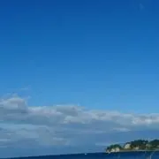 H G