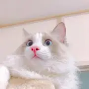 樹里ママ