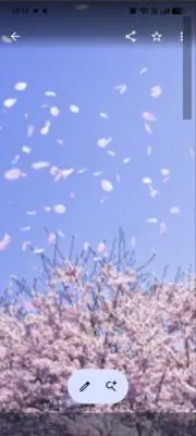 JAM 基本当日又は翌日発送致します！の画像