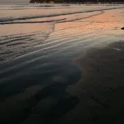 SBMの画像