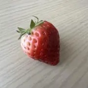 sakuの画像