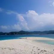 海族
