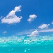 トニックの画像