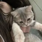 sの画像