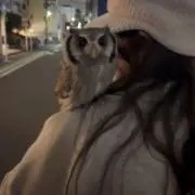 ポテチ