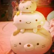 ぽたりの画像