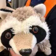 しいたけの画像